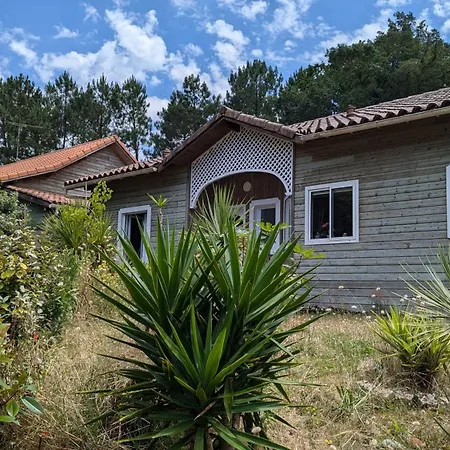 Villa Contemporaine Sud Landes Labenne