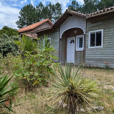 Villa Contemporaine Sud Landes