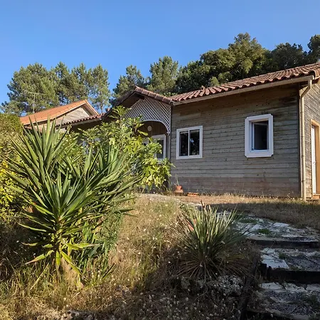 Contemporaine Sud Landes * Labenne